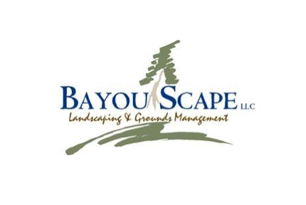 Bayou Scape
